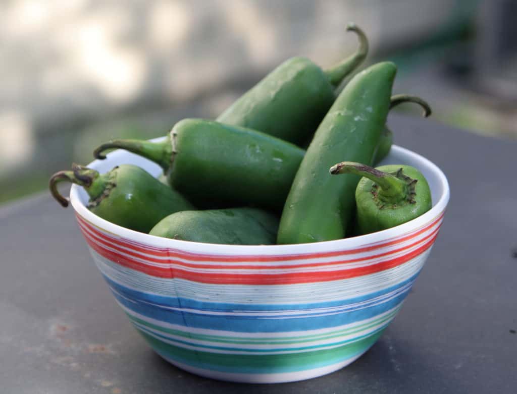 Fresh Jalapeños