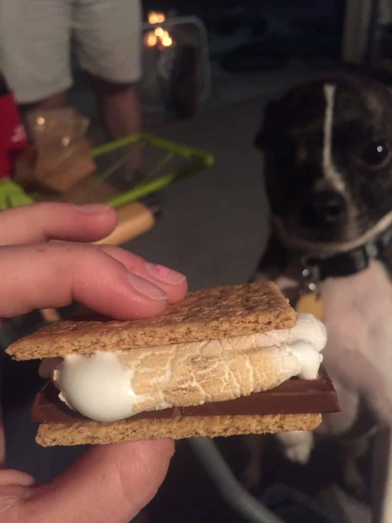 Dorian in the background gazing at a smore