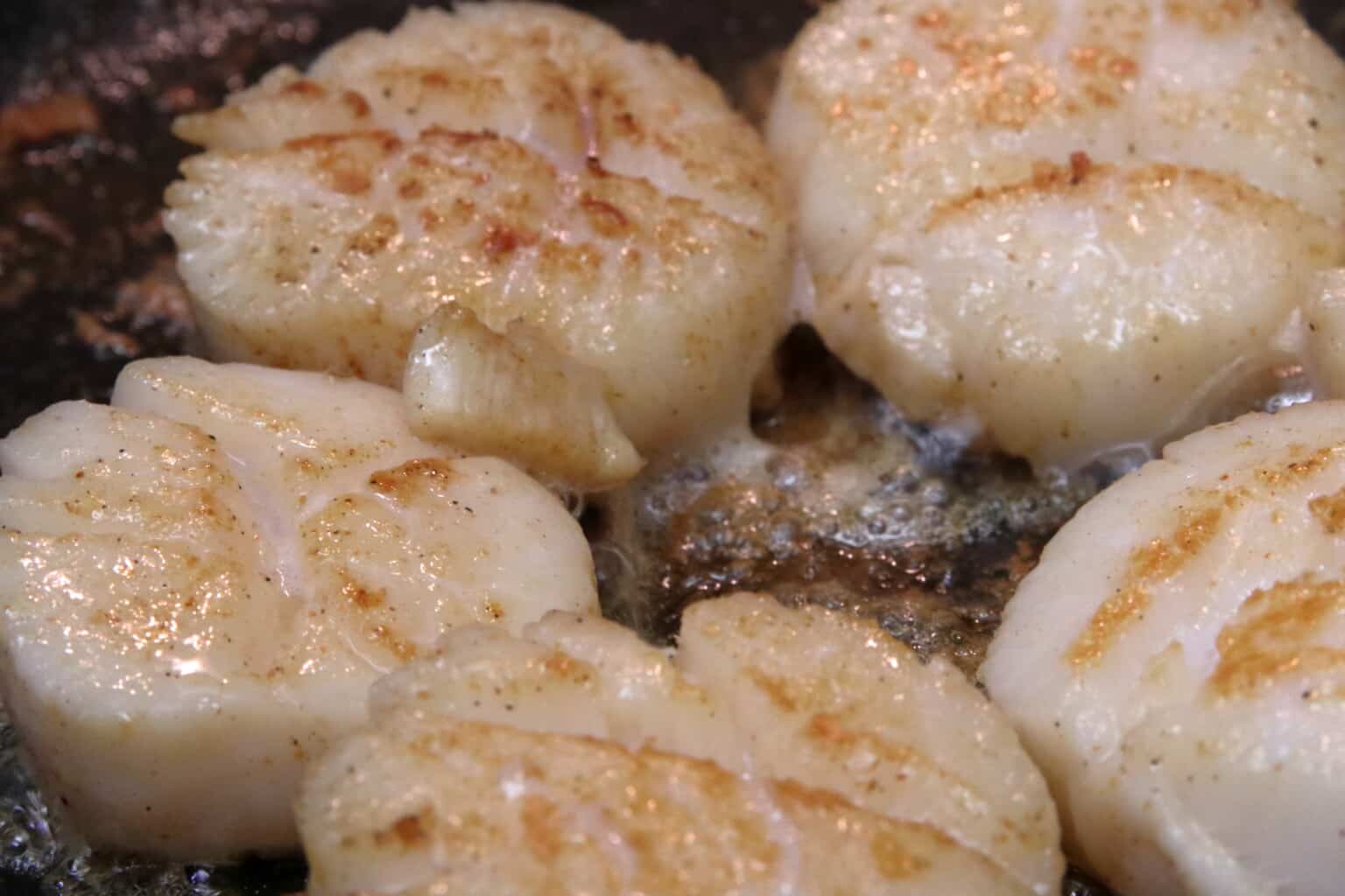 Shrimp and Scallop Pasta in White Wine Cream Sauce | System of a Brown