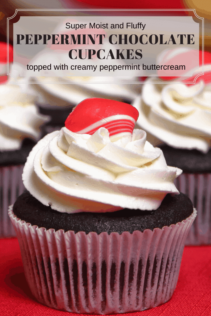 Peppermint Chocolate Cupcakes | System of a Brown