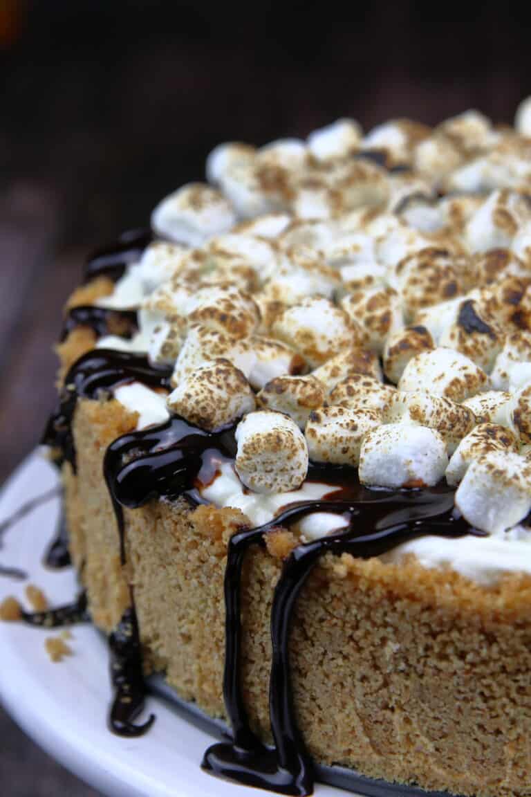 No Bake S'mores Cheesecake | System of a Brown
