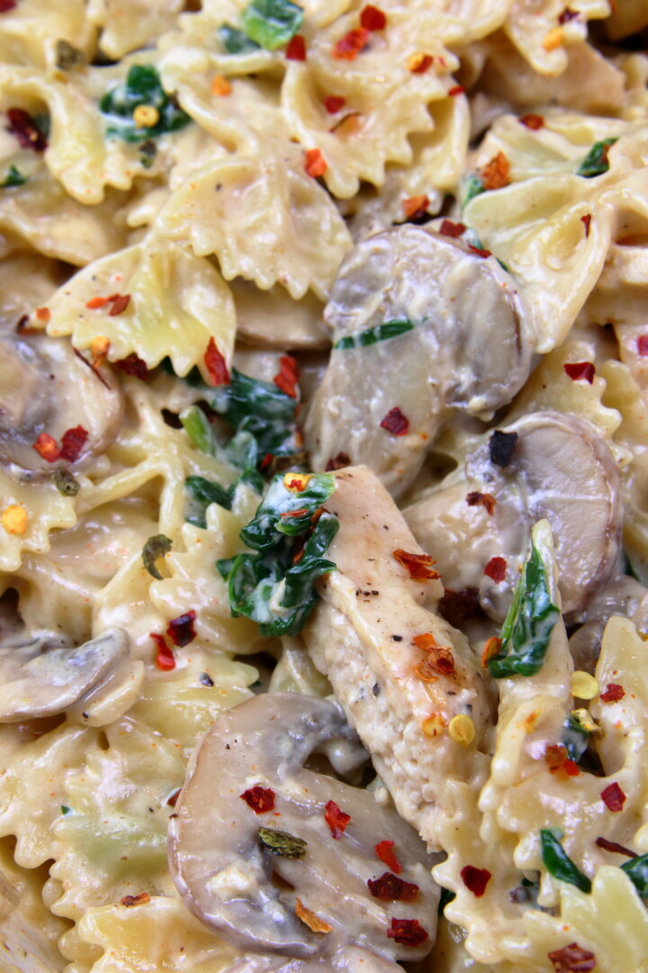 Bow Tie Pasta with Mushroom Cream Sauce and Chicken System of a Brown