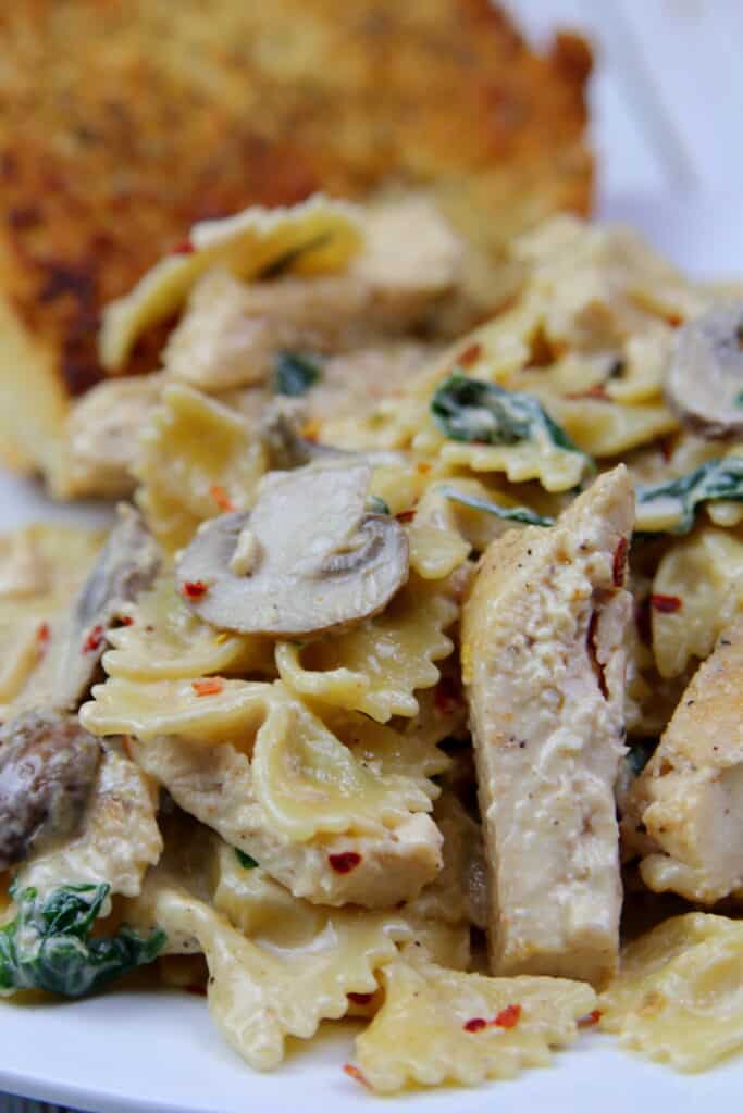 Plat of bowtie pasta in mushroom cream sauce