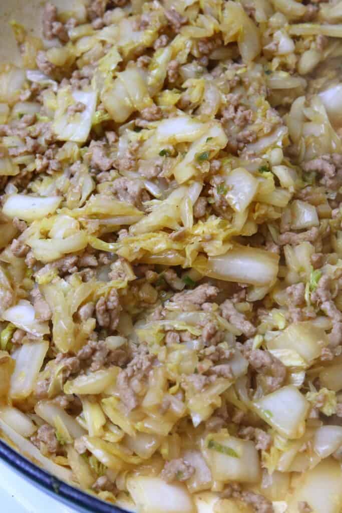 Sauteed cabbage and ground pork