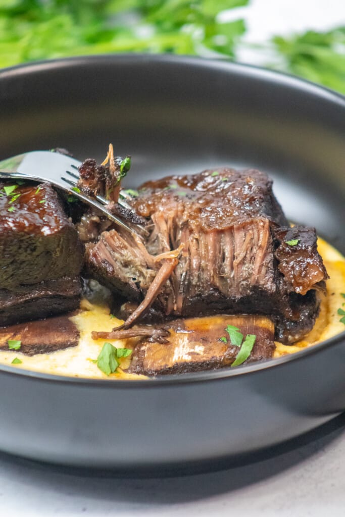 fork tender red wine braised short ribs